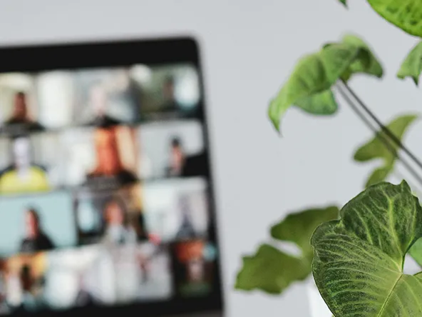 Online studies from home.