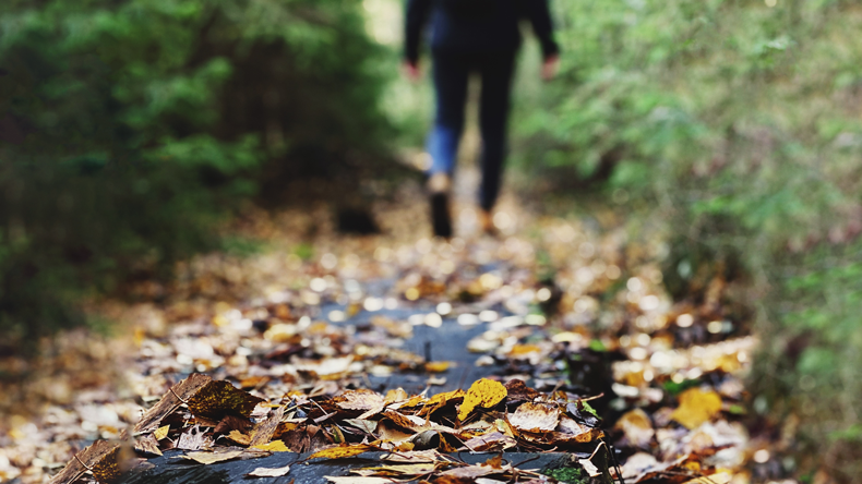  Autumn leaves on path