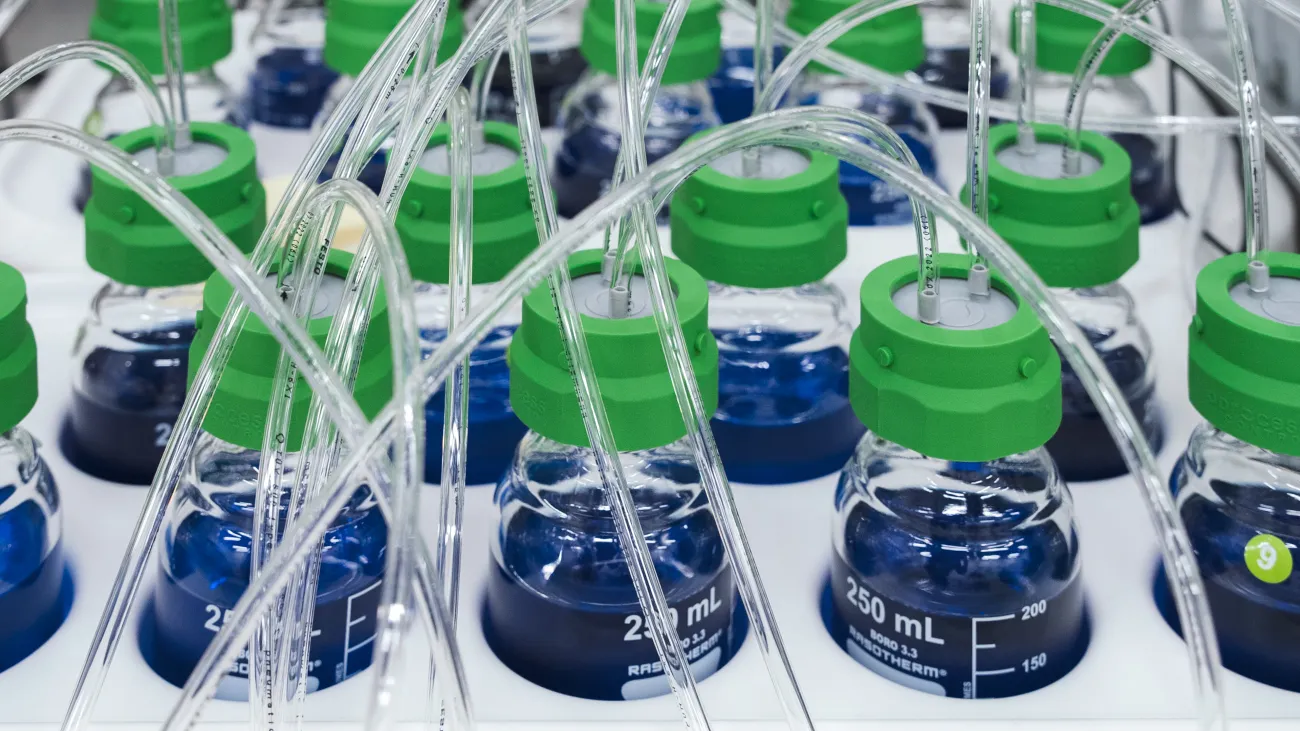 LAB Circular Economy Solutions