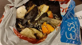 Pussillinen biojätettä, joka oli lajiteltu kuivajätteen joukkoon muovipussissa.