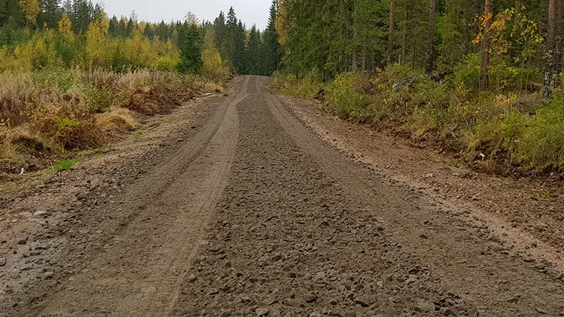 Värlammin metsätie