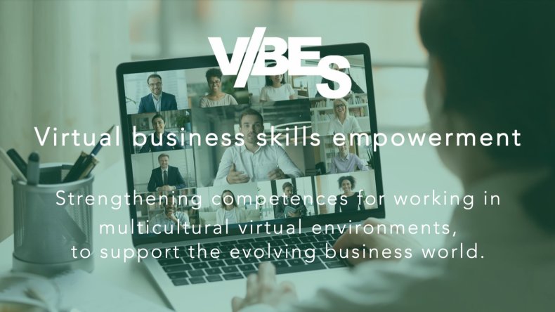 VIBES websites