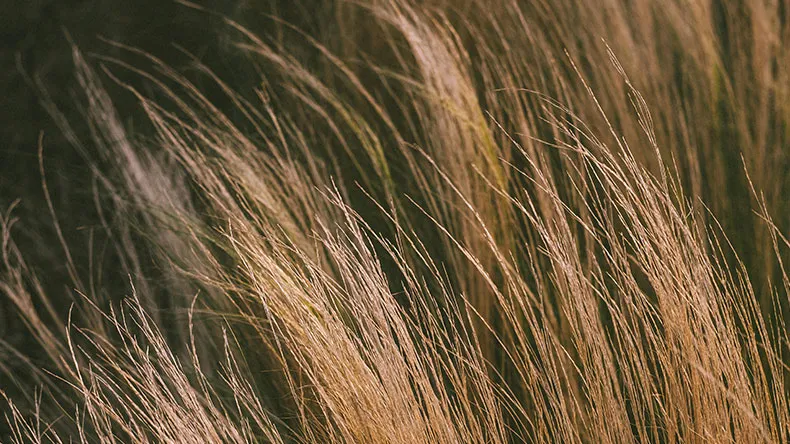 LABin Hiukka 2.0 -projektissa hiuskuiduille kehitetään uudenlaisia käyttökohteita.