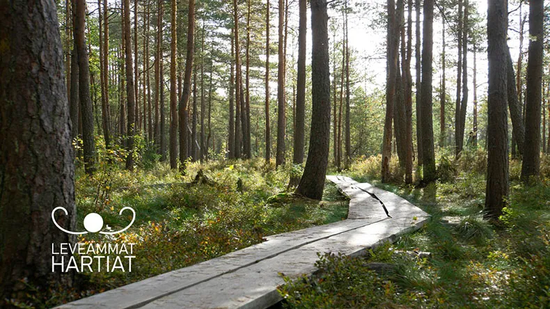 Päijät-Hämeessä panostetaan vastuulliseen matkailuun