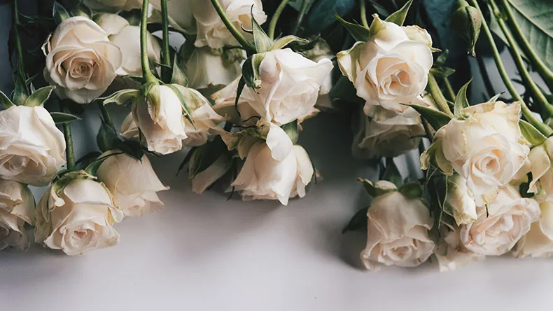 White roses