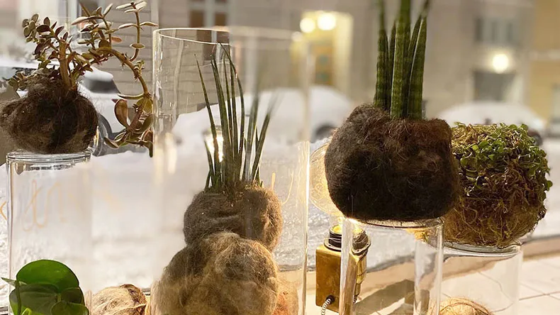 LABin Hiukka-hankkeessa tehtyjä kokedamapalloja.