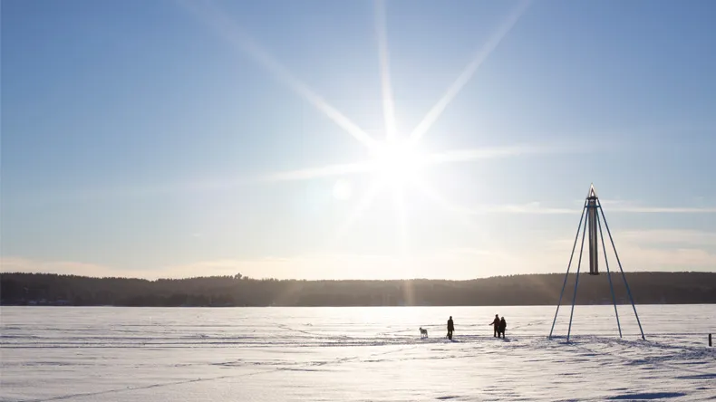 UAS Pathway Studies to Finland