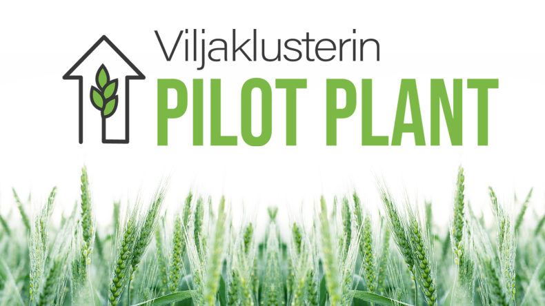 project logo