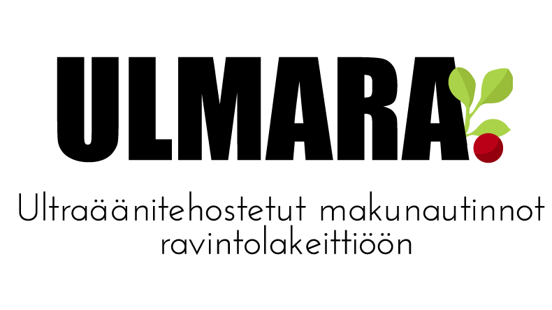 hankkeen logo