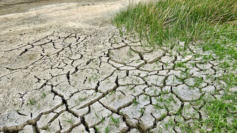 Erittäin kuivanut maaperä ja ruohikkoa