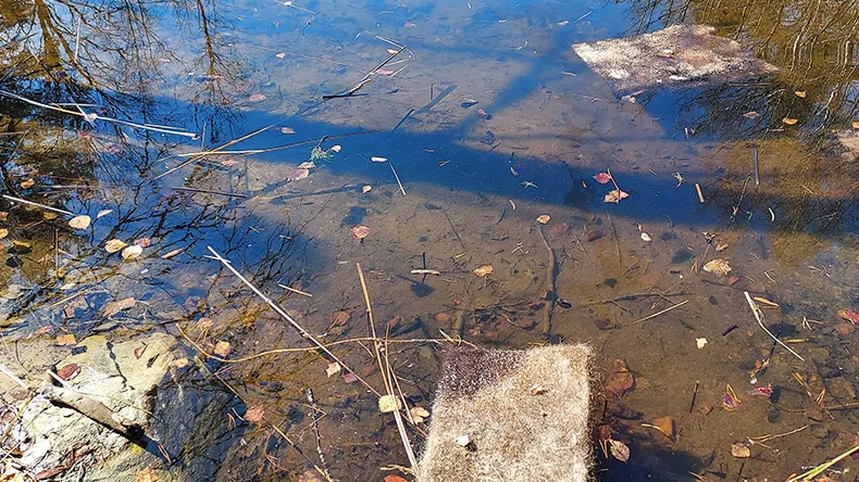 Hiuskuiduista valmistettuja mattoja vedessä imemässä öljyä