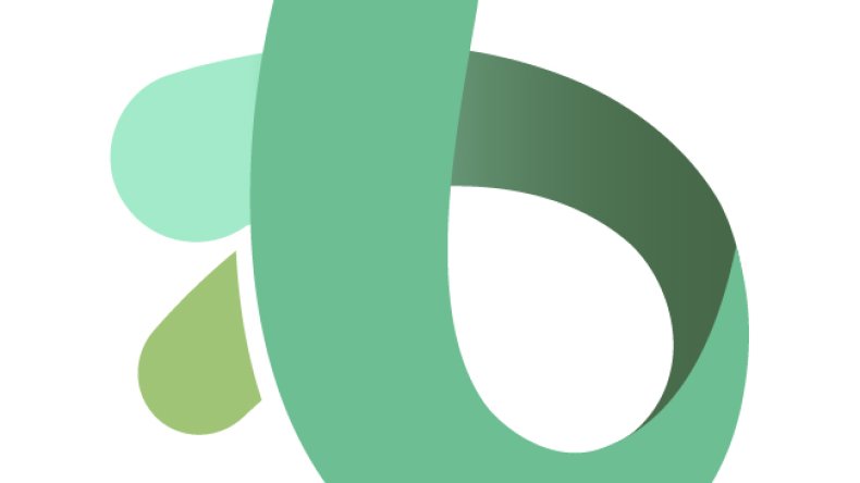 Hankkeen logo