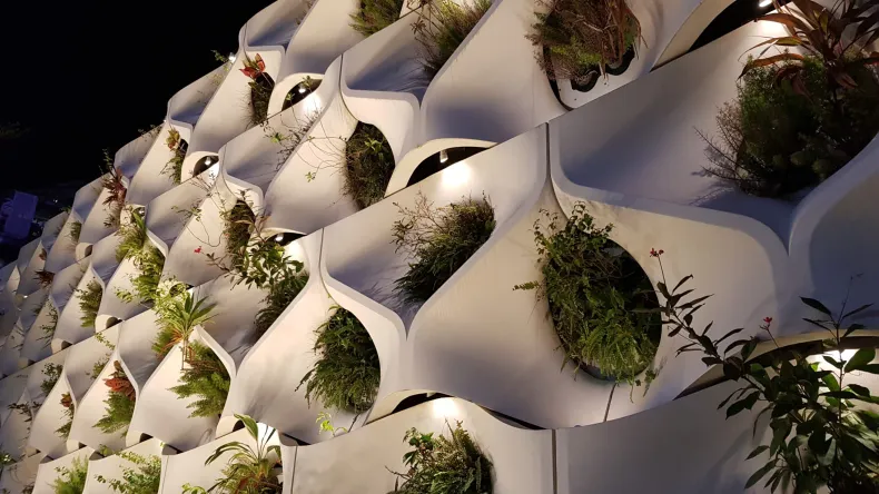 Viherseinäelementti, jossa kasvaa kasveja