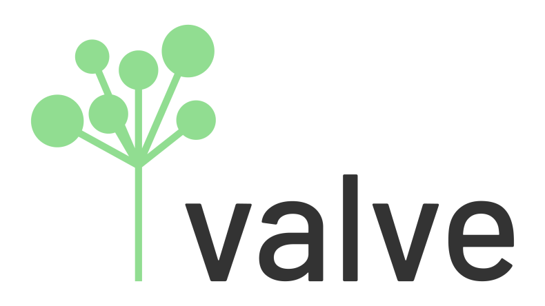 Valve
