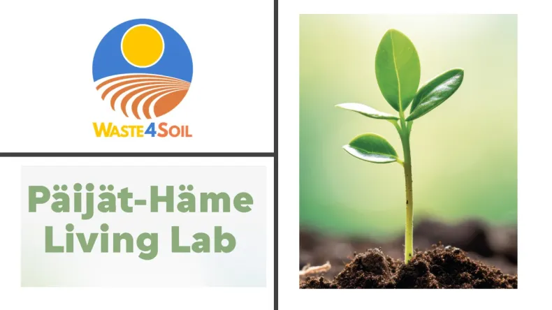 Logo and plant plus LL text as illustrators