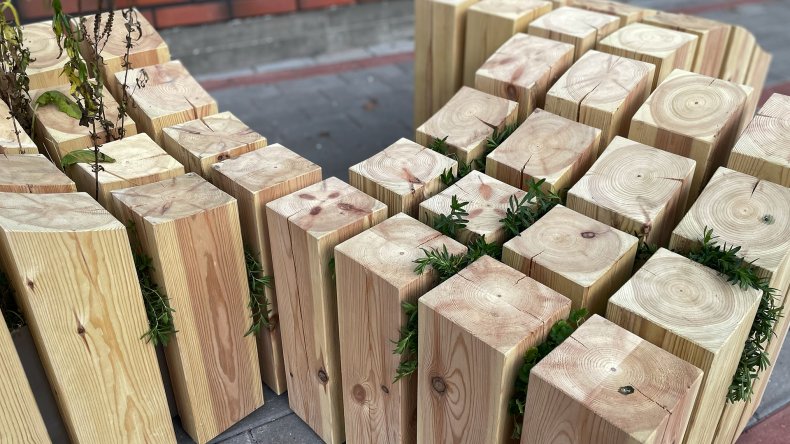 Kasvillisuuskaluste Lahden kampuksen sisäpihalla.