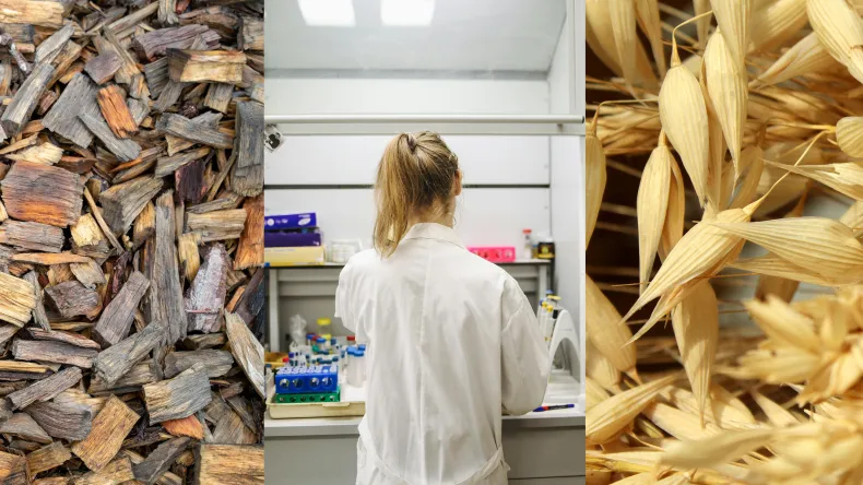 Puuhaketta, tutkija laboratoriossa ja kauraa